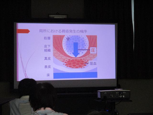 nwnew20231228__012.jpg